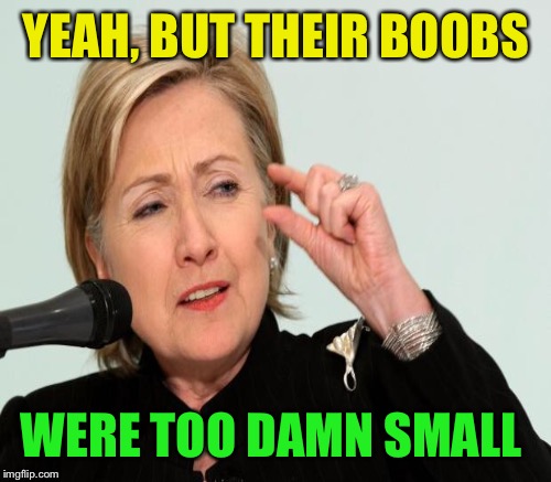 YEAH, BUT THEIR BOOBS WERE TOO DAMN SMALL | made w/ Imgflip meme maker