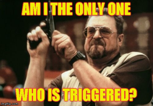 Am I The Only One Around Here Meme | AM I THE ONLY ONE WHO IS TRIGGERED? | image tagged in memes,am i the only one around here | made w/ Imgflip meme maker