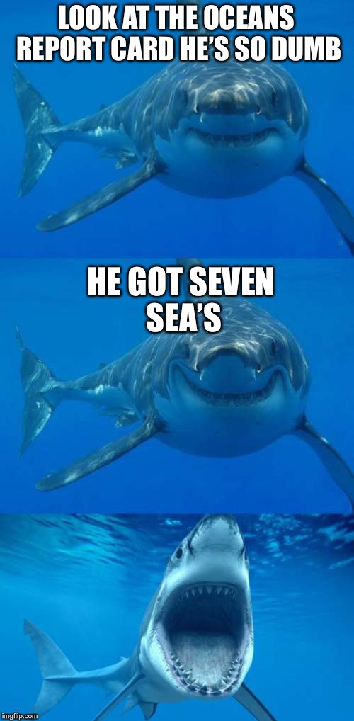 Seven C’s in school | LOOK AT THE OCEANS REPORT CARD HE’S SO DUMB; HE GOT SEVEN SEA’S | image tagged in bad shark pun,seven seas,merry christmas,memes,funny | made w/ Imgflip meme maker