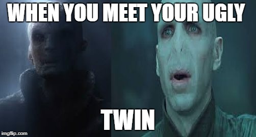 snoke voldy | WHEN YOU MEET YOUR UGLY; TWIN | image tagged in snoke voldy | made w/ Imgflip meme maker