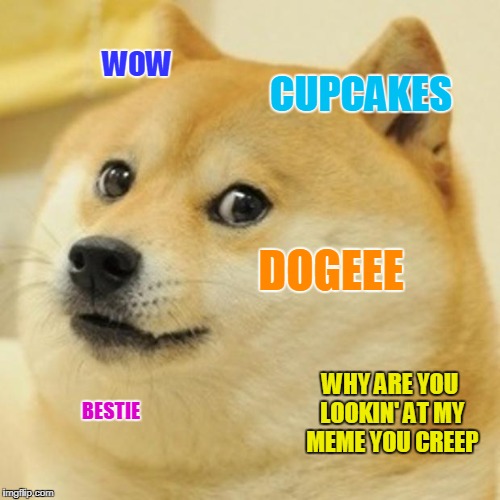 Doge Meme | CUPCAKES; WOW; DOGEEE; WHY ARE YOU LOOKIN' AT MY MEME YOU CREEP; BESTIE | image tagged in memes,doge | made w/ Imgflip meme maker