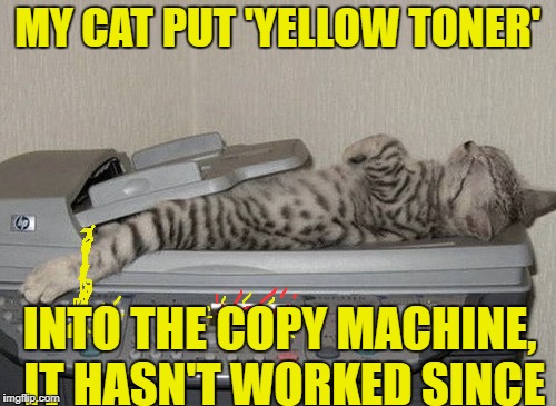 MY CAT PUT 'YELLOW TONER' INTO THE COPY MACHINE, IT HASN'T WORKED SINCE | made w/ Imgflip meme maker