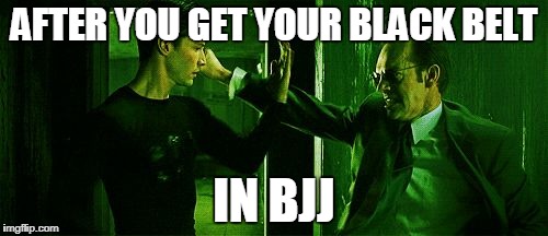 matrix neo smith fight | AFTER YOU GET YOUR BLACK BELT; IN BJJ | image tagged in matrix neo smith fight | made w/ Imgflip meme maker