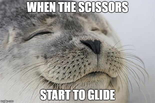Satisfied Seal Meme | WHEN THE SCISSORS; START TO GLIDE | image tagged in memes,satisfied seal | made w/ Imgflip meme maker