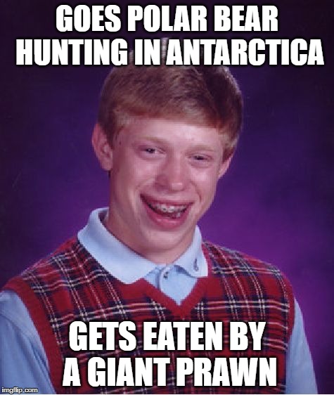 Bad Luck Brian Meme | GOES POLAR BEAR HUNTING IN ANTARCTICA GETS EATEN BY A GIANT PRAWN | image tagged in memes,bad luck brian | made w/ Imgflip meme maker