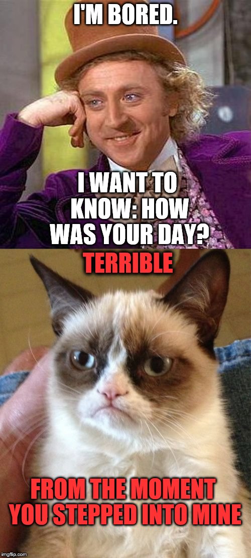 Curiosity Kills the One who Approaches the Cat | I'M BORED. I WANT TO KNOW: HOW WAS YOUR DAY? TERRIBLE; FROM THE MOMENT YOU STEPPED INTO MINE | image tagged in grumpy cat | made w/ Imgflip meme maker