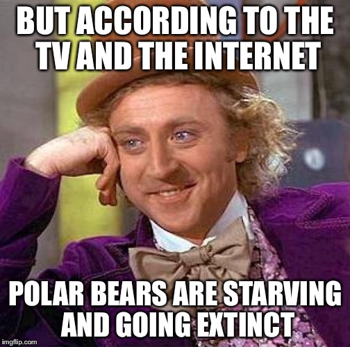 Creepy Condescending Wonka Meme | BUT ACCORDING TO THE TV AND THE INTERNET POLAR BEARS ARE STARVING AND GOING EXTINCT | image tagged in memes,creepy condescending wonka | made w/ Imgflip meme maker