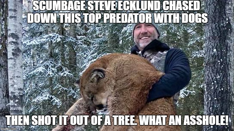 Killer Steve Ecklund | SCUMBAGE STEVE ECKLUND CHASED DOWN THIS TOP PREDATOR WITH DOGS; THEN SHOT IT OUT OF A TREE. WHAT AN ASSHOLE! | image tagged in killer steve ecklund | made w/ Imgflip meme maker