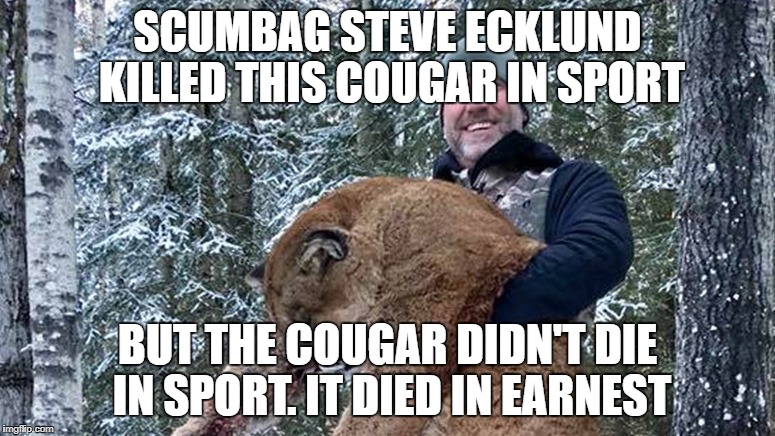Killer Steve Ecklund | SCUMBAG STEVE ECKLUND KILLED THIS COUGAR IN SPORT; BUT THE COUGAR DIDN'T DIE IN SPORT. IT DIED IN EARNEST | image tagged in killer steve ecklund | made w/ Imgflip meme maker
