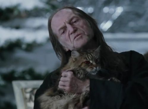 Mr Filch and Mrs. Norris the cat (at a dance) Blank Meme Template