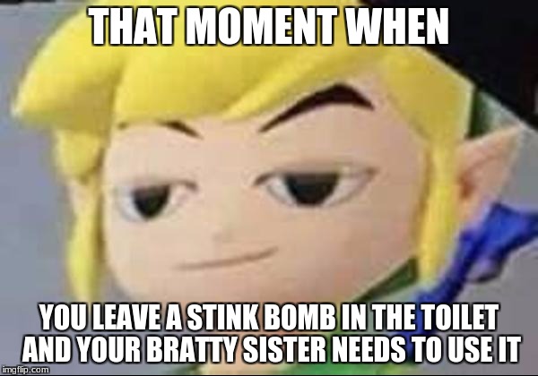 Link took a dump | THAT MOMENT WHEN; YOU LEAVE A STINK BOMB IN THE TOILET AND YOUR BRATTY SISTER NEEDS TO USE IT | image tagged in memes,funny | made w/ Imgflip meme maker