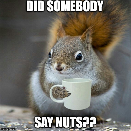 DID SOMEBODY SAY NUTS?? | made w/ Imgflip meme maker