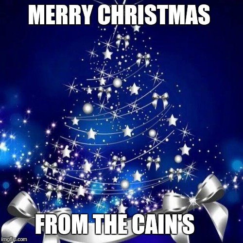 Merry Christmas  | MERRY CHRISTMAS; FROM THE CAIN'S | image tagged in merry christmas | made w/ Imgflip meme maker
