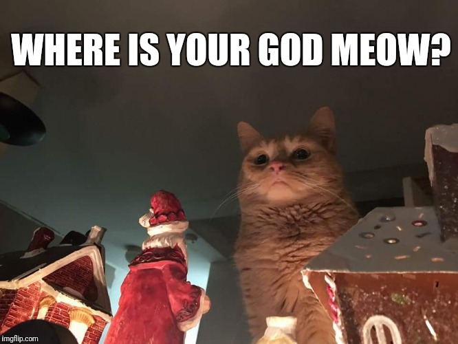 Where is your god meow? | WHERE IS YOUR GOD MEOW? | image tagged in santa,santa claus,cat,god,meow | made w/ Imgflip meme maker
