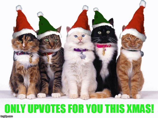 ONLY UPVOTES FOR YOU THIS XMAS! | made w/ Imgflip meme maker