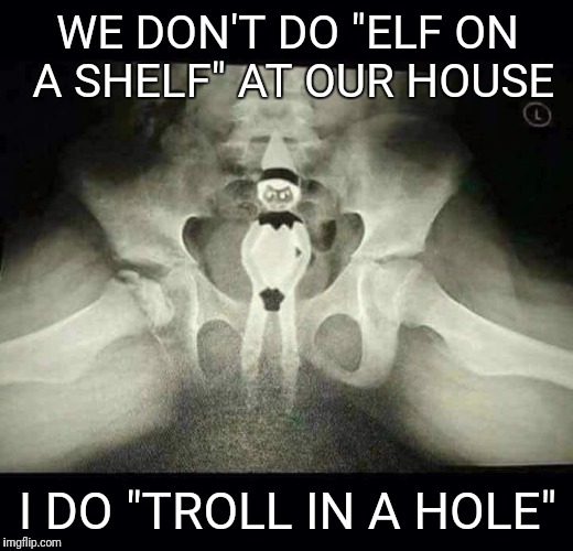 Troll in a hole | WE DON'T DO "ELF ON A SHELF" AT OUR HOUSE; I DO "TROLL IN A HOLE" | image tagged in elf on a shelf,nice ass,butthurt bad | made w/ Imgflip meme maker