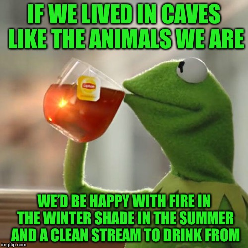 But That's None Of My Business Meme | IF WE LIVED IN CAVES LIKE THE ANIMALS WE ARE WE’D BE HAPPY WITH FIRE IN THE WINTER SHADE IN THE SUMMER AND A CLEAN STREAM TO DRINK FROM | image tagged in memes,but thats none of my business,kermit the frog | made w/ Imgflip meme maker