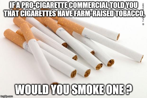 cigarettes | IF A PRO-CIGARETTE COMMERCIAL TOLD YOU THAT CIGARETTES HAVE FARM-RAISED TOBACCO, WOULD YOU SMOKE ONE ? | image tagged in cigarettes | made w/ Imgflip meme maker