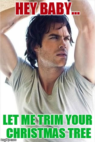Hot guy  | HEY BABY... LET ME TRIM YOUR CHRISTMAS TREE | image tagged in hot guy | made w/ Imgflip meme maker