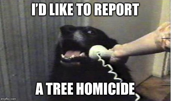 I’D LIKE TO REPORT A TREE HOMICIDE | made w/ Imgflip meme maker