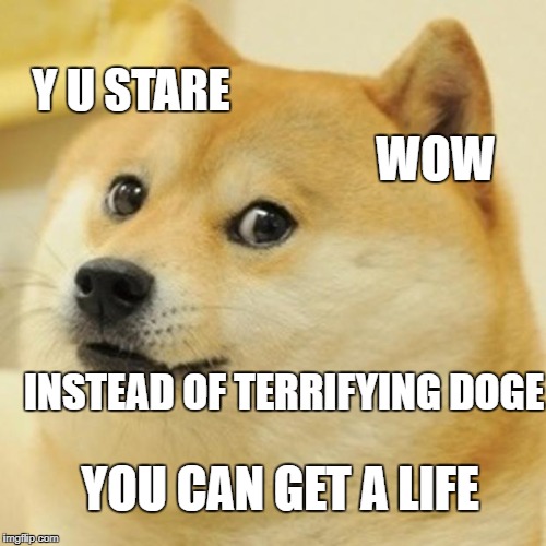 Doge Meme | Y U STARE; WOW; INSTEAD OF TERRIFYING DOGE; YOU CAN GET A LIFE | image tagged in memes,doge | made w/ Imgflip meme maker