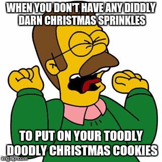 Ned Flanders Shouting | WHEN YOU DON'T HAVE ANY DIDDLY DARN CHRISTMAS SPRINKLES; TO PUT ON YOUR TOODLY DOODLY CHRISTMAS COOKIES | image tagged in ned flanders shouting | made w/ Imgflip meme maker