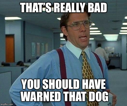 That Would Be Great Meme | THAT’S REALLY BAD YOU SHOULD HAVE WARNED THAT DOG | image tagged in memes,that would be great | made w/ Imgflip meme maker