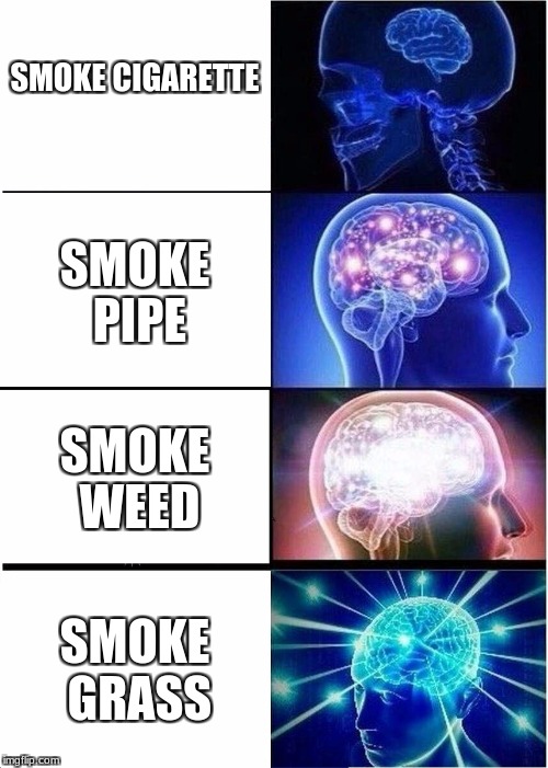 Expanding Brain Meme | SMOKE CIGARETTE; SMOKE PIPE; SMOKE WEED; SMOKE GRASS | image tagged in memes,expanding brain | made w/ Imgflip meme maker