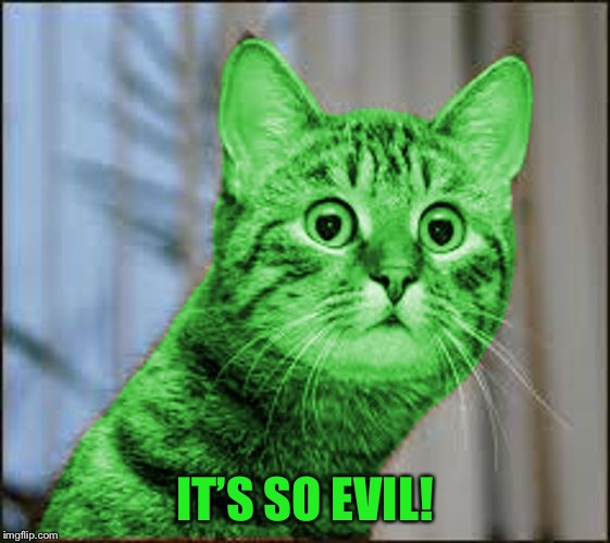 RayCat WTF | IT’S SO EVIL! | image tagged in raycat wtf | made w/ Imgflip meme maker