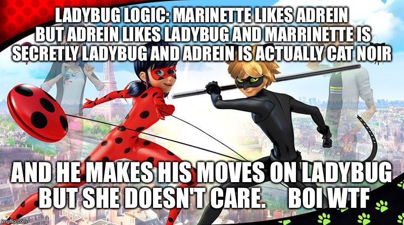 Wtf literally makes no sense  | LADYBUG LOGIC: MARINETTE LIKES ADREIN BUT ADREIN LIKES LADYBUG AND MARRINETTE IS SECRETLY LADYBUG AND ADREIN IS ACTUALLY CAT NOIR; AND HE MAKES HIS MOVES ON LADYBUG BUT SHE DOESN'T CARE.     BOI WTF | image tagged in miraculous ladybug | made w/ Imgflip meme maker