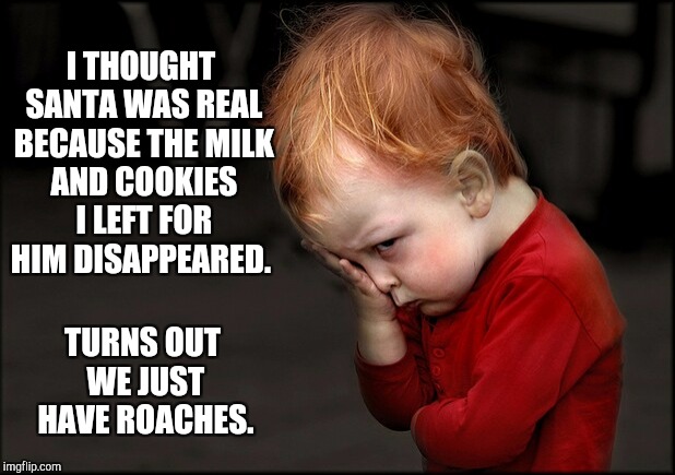 Heartbreaker :(  | I THOUGHT SANTA WAS REAL BECAUSE THE MILK AND COOKIES I LEFT FOR HIM DISAPPEARED. TURNS OUT WE JUST HAVE ROACHES. | image tagged in pouting boy,jbmemegeek,cute kids,christmas,christmas memes | made w/ Imgflip meme maker