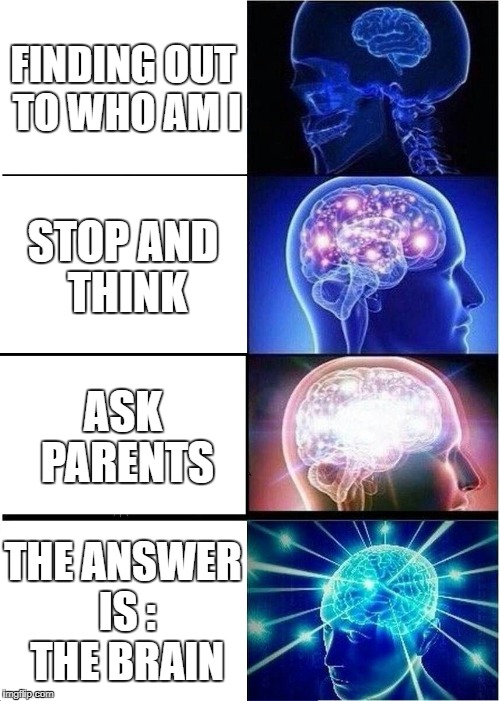 Expanding Brain | FINDING OUT TO WHO AM I; STOP AND THINK; ASK PARENTS; THE ANSWER IS : THE BRAIN | image tagged in memes,expanding brain | made w/ Imgflip meme maker