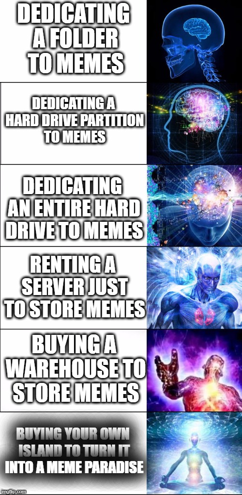 Expanding brain | DEDICATING A FOLDER TO MEMES; DEDICATING A HARD DRIVE PARTITION TO MEMES; DEDICATING AN ENTIRE HARD DRIVE TO MEMES; RENTING A SERVER JUST TO STORE MEMES; BUYING A WAREHOUSE TO STORE MEMES; BUYING YOUR OWN ISLAND TO TURN IT INTO A MEME PARADISE | image tagged in expanding brain | made w/ Imgflip meme maker