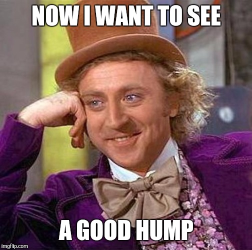 Creepy Condescending Wonka Meme | NOW I WANT TO SEE A GOOD HUMP | image tagged in memes,creepy condescending wonka | made w/ Imgflip meme maker