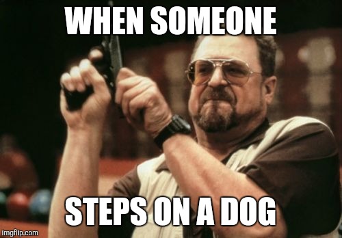 Am I The Only One Around Here | WHEN SOMEONE; STEPS ON A DOG | image tagged in memes,am i the only one around here | made w/ Imgflip meme maker