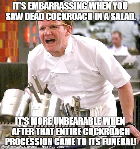 Chef Gordon Ramsay | IT'S EMBARRASSING WHEN YOU SAW DEAD COCKROACH IN A SALAD. IT'S MORE UNBEARABLE WHEN AFTER THAT ENTIRE COCKROACH PROCESSION CAME TO ITS FUNERAL! | image tagged in memes,chef gordon ramsay | made w/ Imgflip meme maker