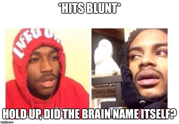 Hits blunt | *HITS BLUNT*; HOLD UP, DID THE BRAIN NAME ITSELF? | image tagged in hits blunt | made w/ Imgflip meme maker