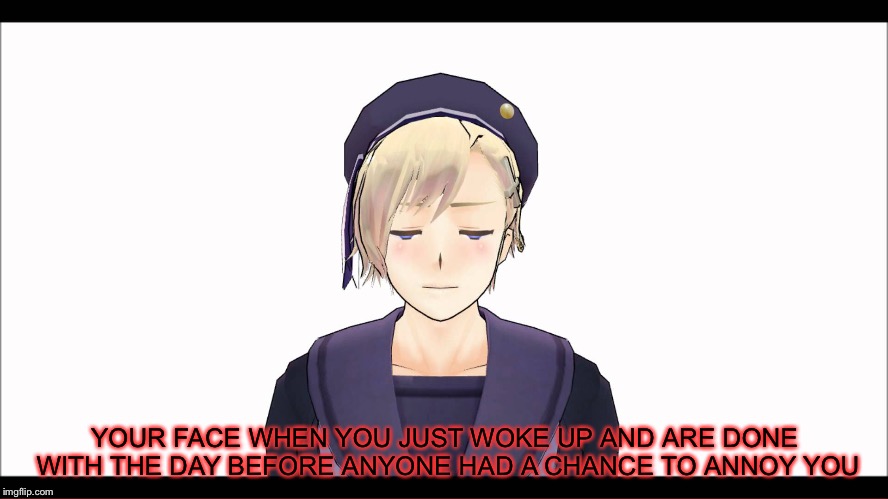 YOUR FACE WHEN YOU JUST WOKE UP AND ARE DONE WITH THE DAY BEFORE ANYONE HAD A CHANCE TO ANNOY YOU | image tagged in hetalia,just d o n e with the day | made w/ Imgflip meme maker
