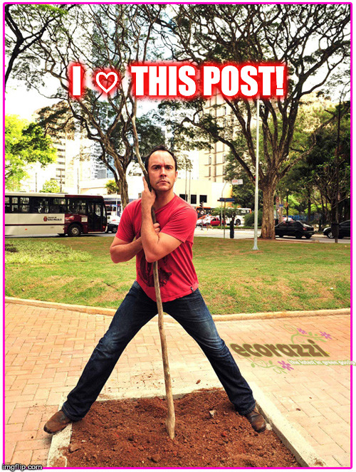 DAVE MATTHEWS LOVES THIS POST! | I  ♡  THIS POST! | image tagged in dave matthews,dave matthews band,dmb,tree,love,heart | made w/ Imgflip meme maker