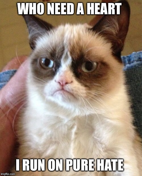 Grumpy Cat Meme | WHO NEED A HEART I RUN ON PURE HATE | image tagged in memes,grumpy cat | made w/ Imgflip meme maker