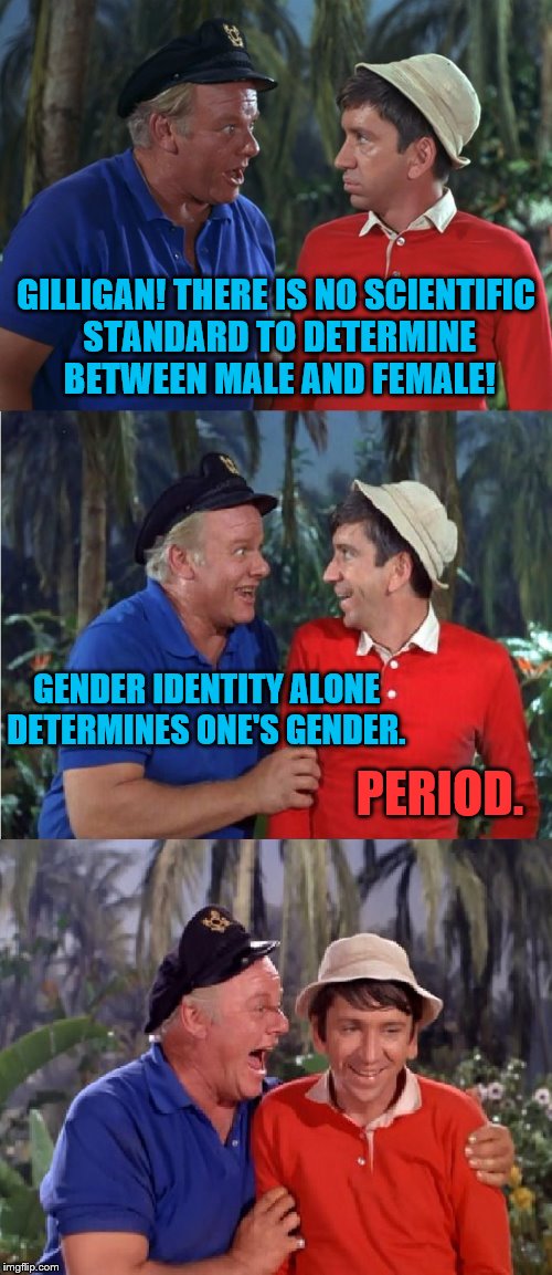 Gilligan Bad Pun | GILLIGAN! THERE IS NO SCIENTIFIC STANDARD TO DETERMINE BETWEEN MALE AND FEMALE! GENDER IDENTITY ALONE DETERMINES ONE'S GENDER. PERIOD. | image tagged in gilligan bad pun,memes,transgender,gender identity,lgbtq | made w/ Imgflip meme maker