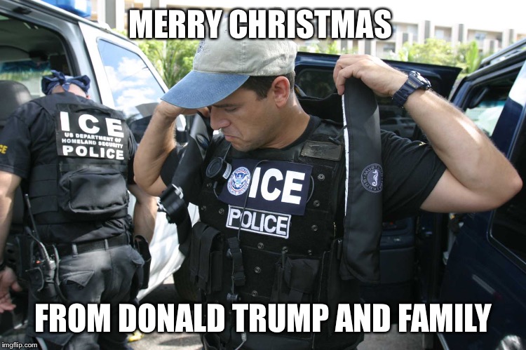 Illegal Immigration | MERRY CHRISTMAS; FROM DONALD TRUMP AND FAMILY | image tagged in illegal immigration | made w/ Imgflip meme maker