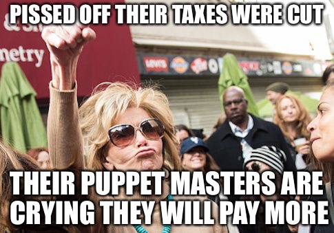 Tax Skeets | PISSED OFF THEIR TAXES WERE CUT; THEIR PUPPET MASTERS ARE CRYING THEY WILL PAY MORE | image tagged in statist,skank,punk,democrats,college liberal,aids | made w/ Imgflip meme maker