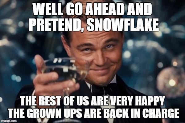 Leonardo Dicaprio Cheers Meme | WELL GO AHEAD AND PRETEND, SNOWFLAKE THE REST OF US ARE VERY HAPPY THE GROWN UPS ARE BACK IN CHARGE | image tagged in memes,leonardo dicaprio cheers | made w/ Imgflip meme maker