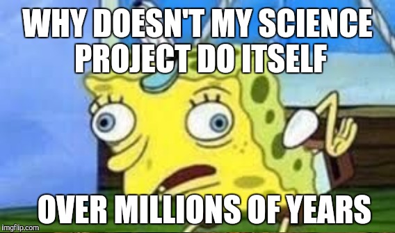 Creationist kid | WHY DOESN'T MY SCIENCE PROJECT DO ITSELF OVER MILLIONS OF YEARS | image tagged in creationism,spongebob mock | made w/ Imgflip meme maker