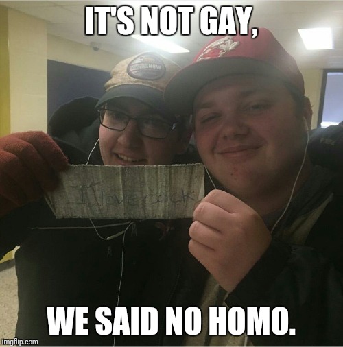Gay No Homo 49