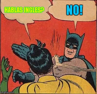 Batman Slapping Robin Meme | HABLAS INGLES? NO! | image tagged in memes,batman slapping robin | made w/ Imgflip meme maker