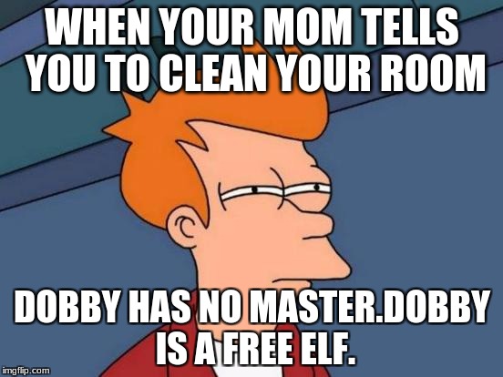 Futurama Fry Meme | WHEN YOUR MOM TELLS YOU TO CLEAN YOUR ROOM; DOBBY HAS NO MASTER.DOBBY IS A FREE ELF. | image tagged in memes,futurama fry | made w/ Imgflip meme maker
