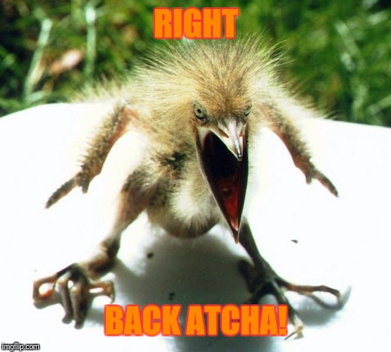 Unpleasant Bird | RIGHT BACK ATCHA! | image tagged in unpleasant bird | made w/ Imgflip meme maker