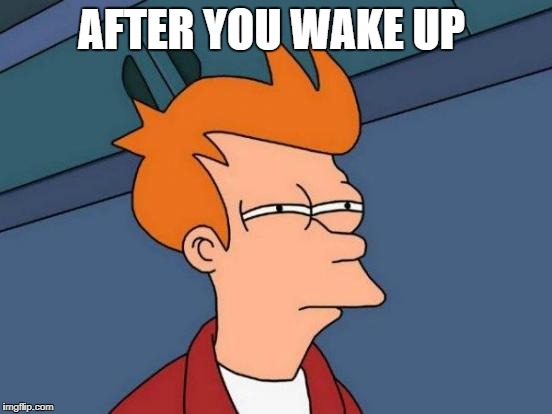 Futurama Fry Meme | AFTER YOU WAKE UP | image tagged in memes,futurama fry | made w/ Imgflip meme maker
